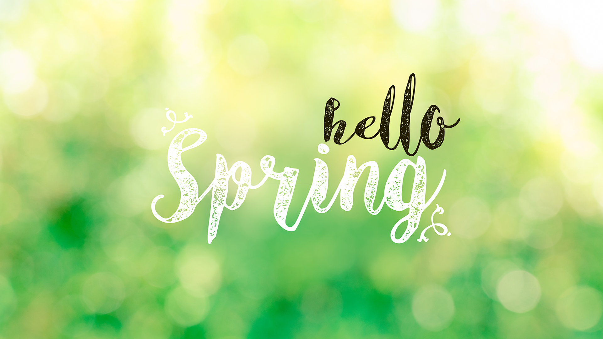 Hello spring text with nature light bokeh background